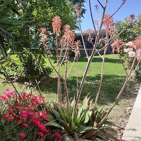 Maison Climatisee Avec Piscine Entre Alpilles Et Camargue 別荘 アルル